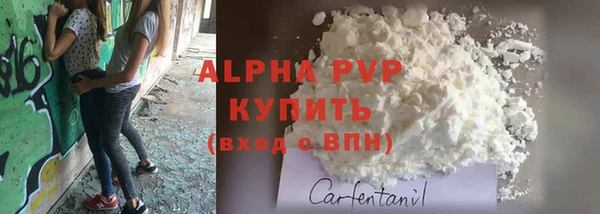индика Абдулино