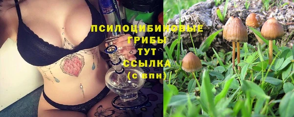 дурь Абинск